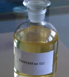 Eucalyptus Oil Pharma Grade
