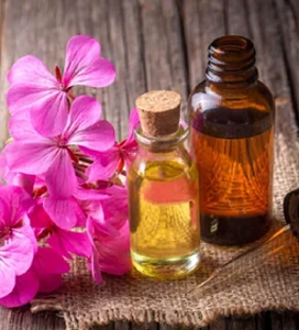 Geranium Oil